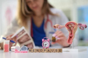 A Menopausal doctor and on the table have a pelvic floor model。